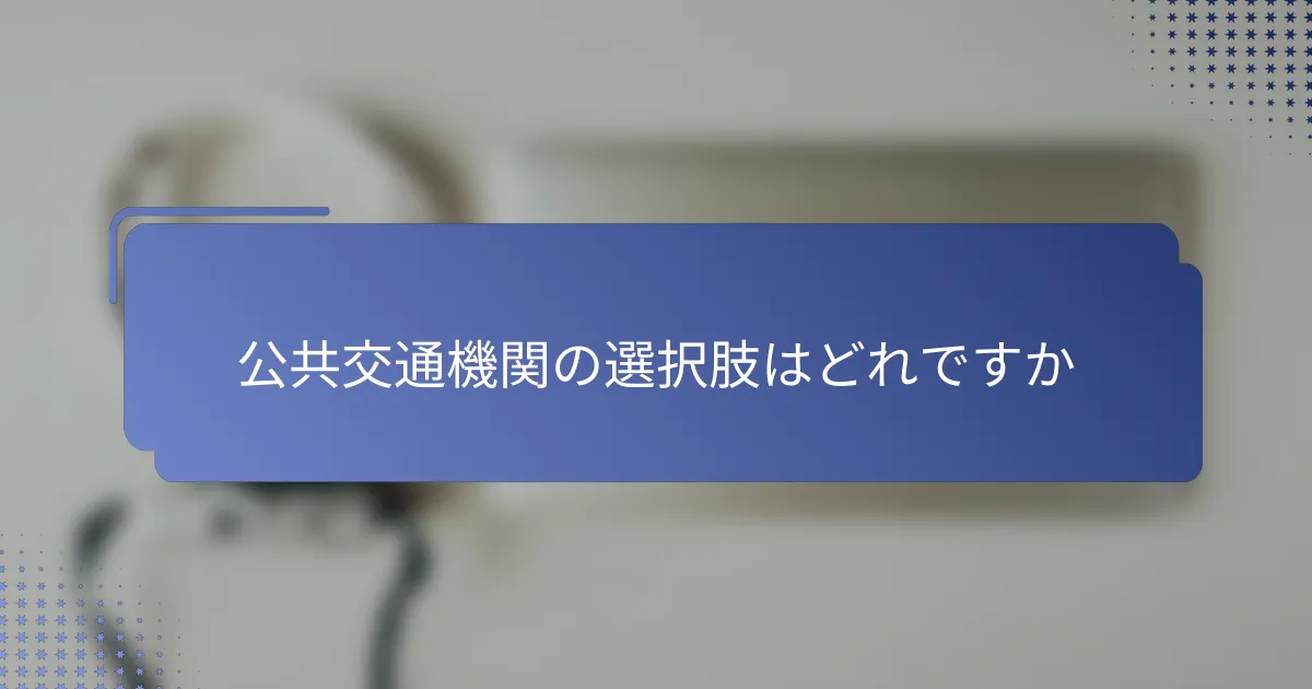公共交通機関の選択肢はどれですか